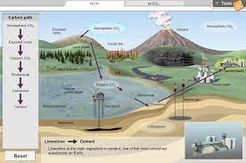 carbon cycle gizmo