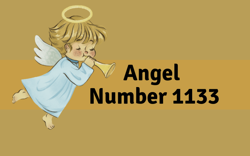 Angel number 1133