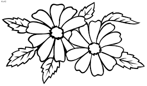 Coloring Flower Design