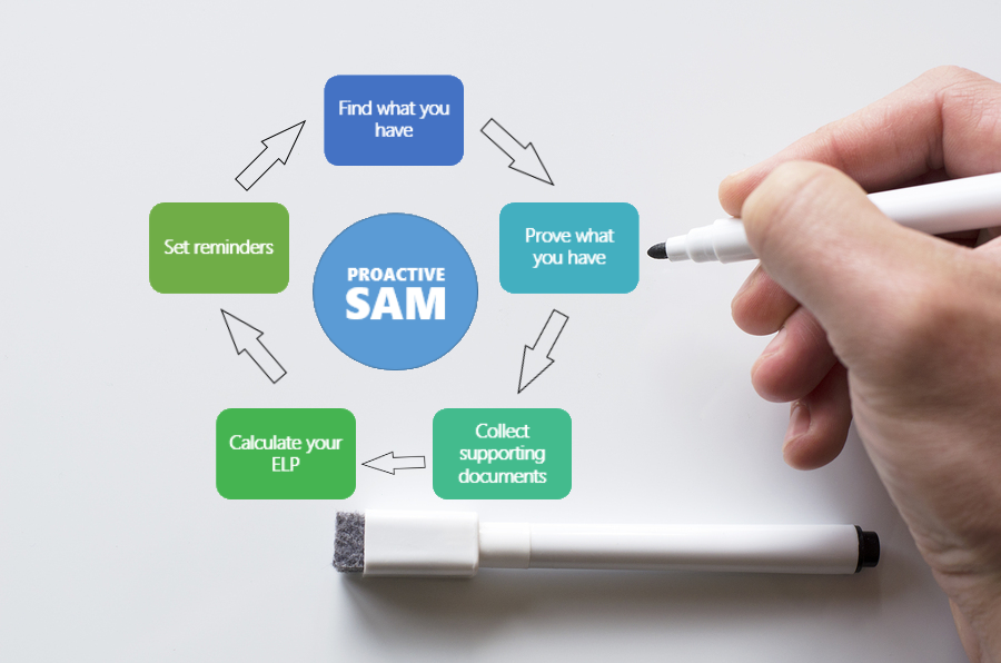 Software Asset Management