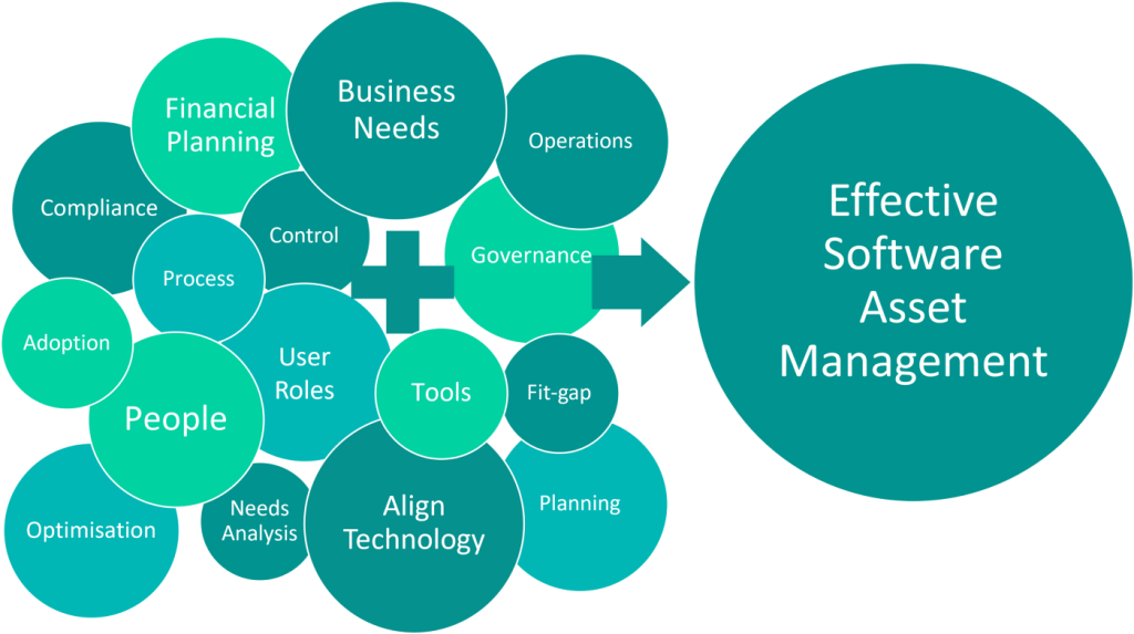 Software Asset Management