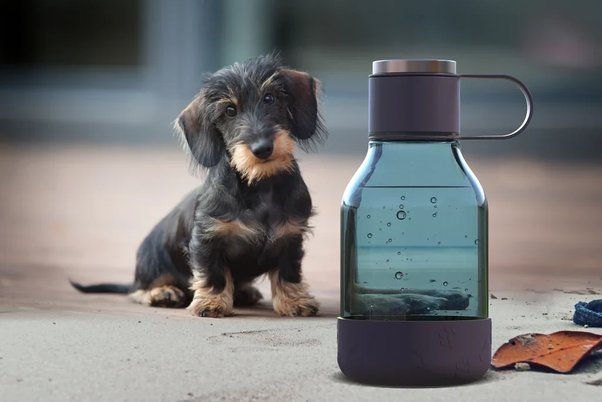 gift for dog lovers asobubottle.com