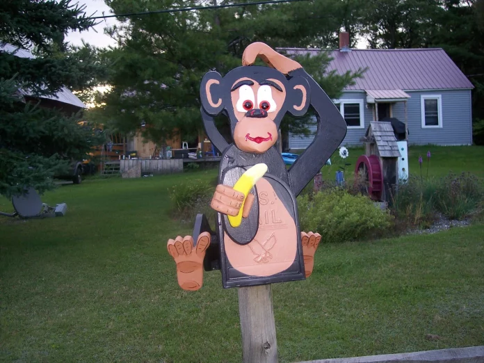 Monkey Holding Box