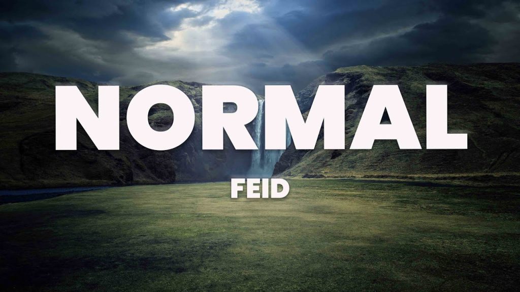 feid normal lyrics