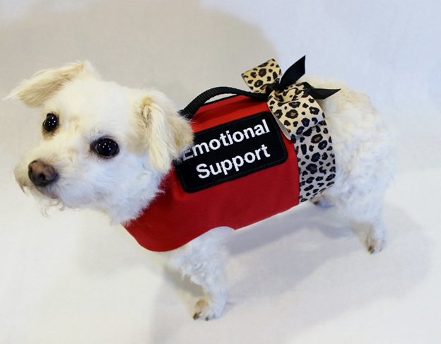 Emotional Support Dogs