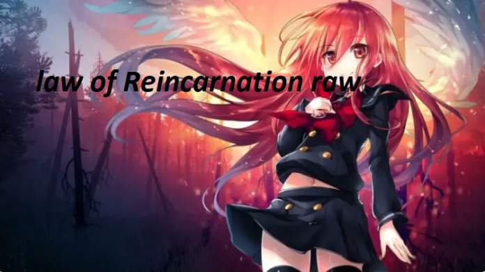 law of Reincarnation raw