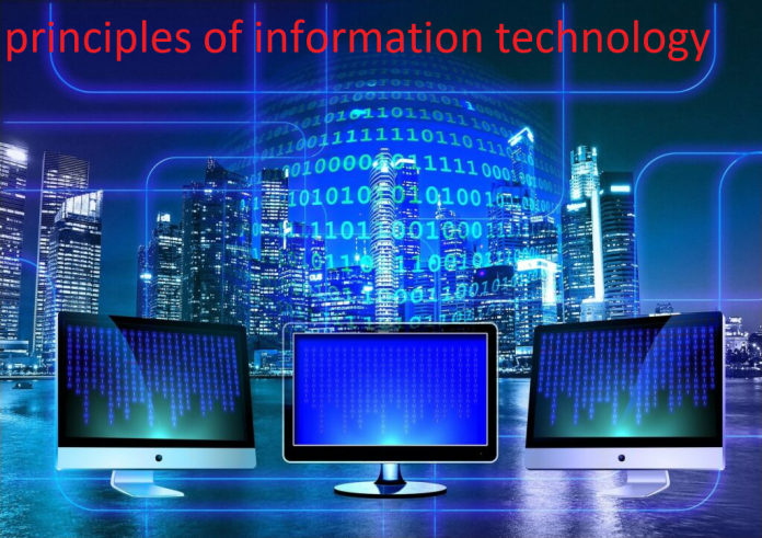 principles of information technology