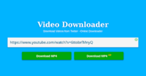 online video downloader